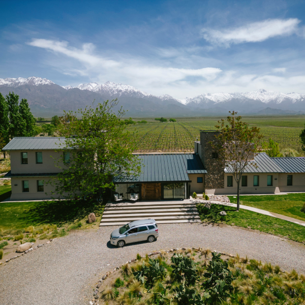 litho-600x600-ph (8) (4) (3) (3)