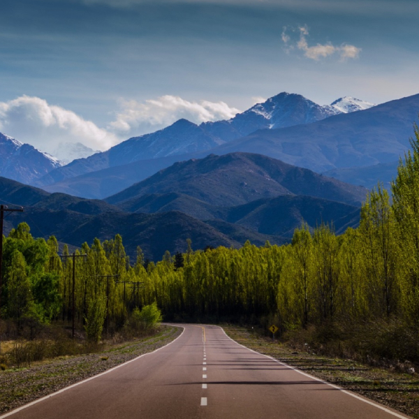 litho-600x600-ph (8) (4) (3) (5)